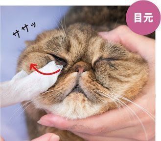 目元のお手入れ