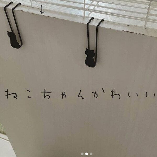 ダイソーの猫グッズ