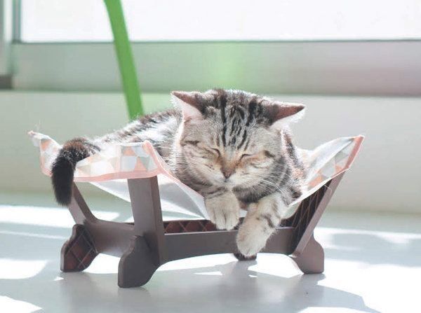 ふくろハンモックに身をゆだねる猫