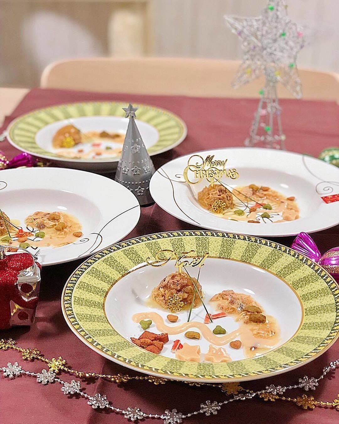 すばらしい猫ディナー！