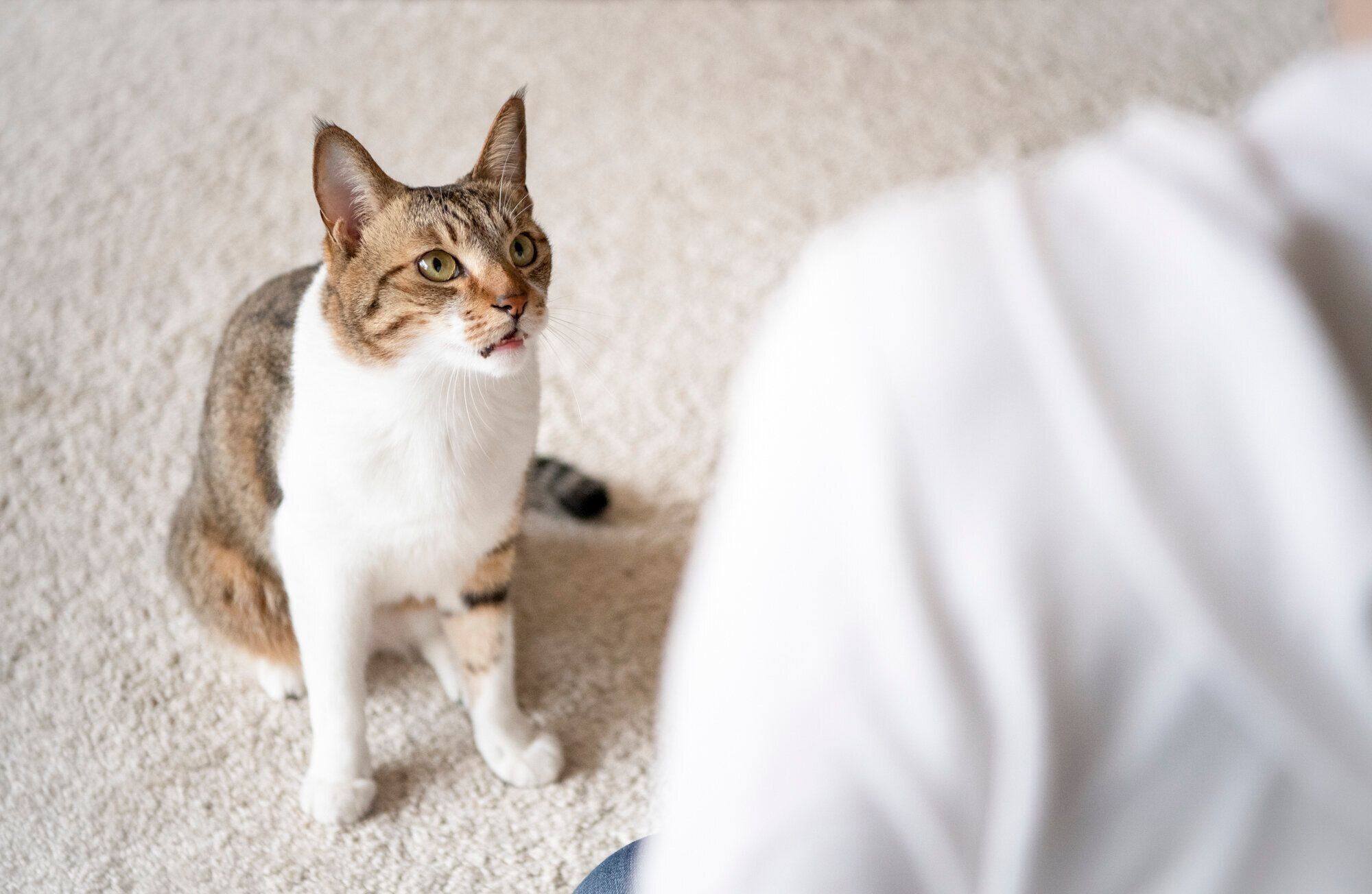 撮影／Akimasa Harada