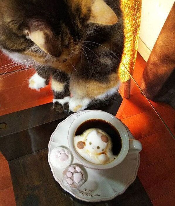 心配そうに見守るモカちゃん