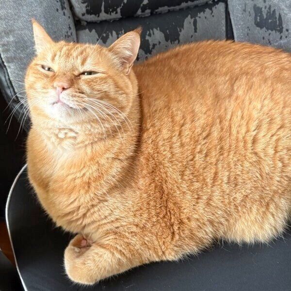 イスで座るすずくん