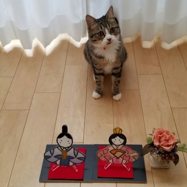 猫とひな人形