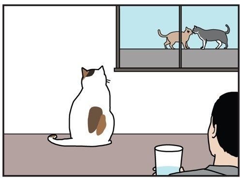 男の猫道タイトル