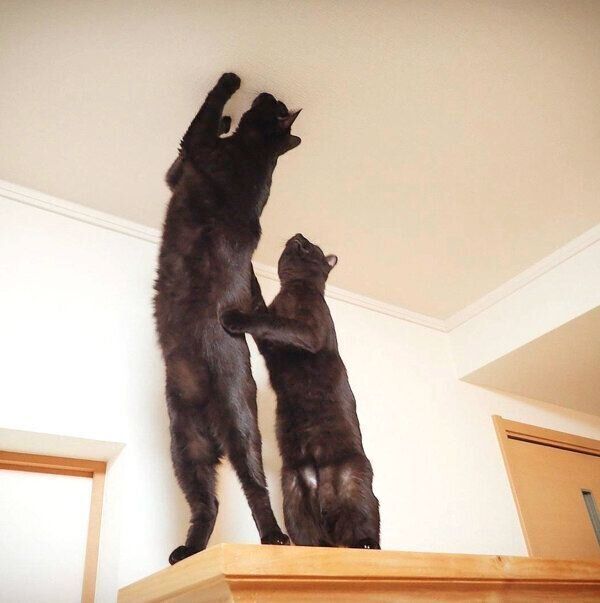 虫を発見したななちゃんとはちちゃん