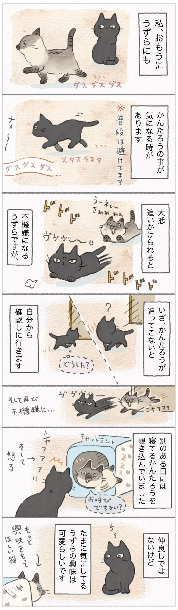 「ねこ連れ草」147話め