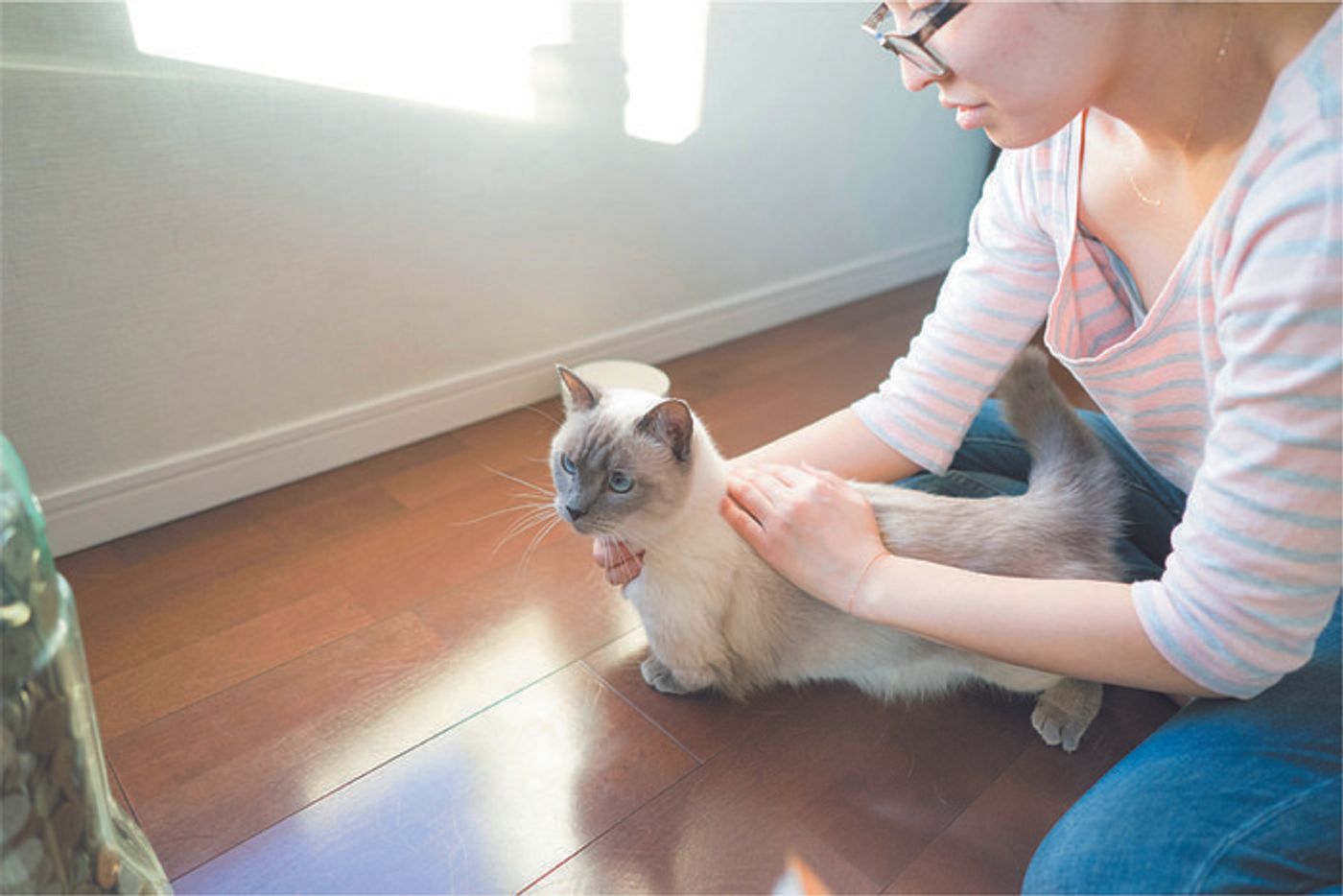 獣医師監修 猫が吐いたら 吐いたものの見極め方や原因 対処法 ねこのきもちweb Magazine 獣医師監修 猫が吐いたら 吐いたものの見極め方や原因 対処法 ねこのきもちweb Magazine