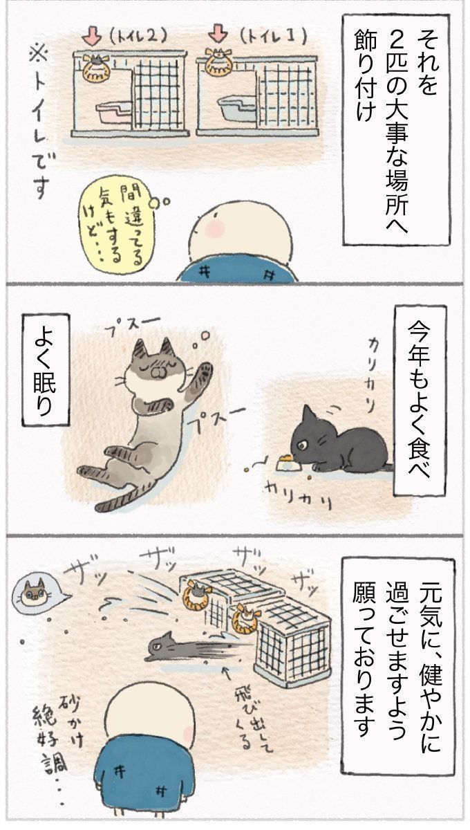 「ねこ連れ草」51話め