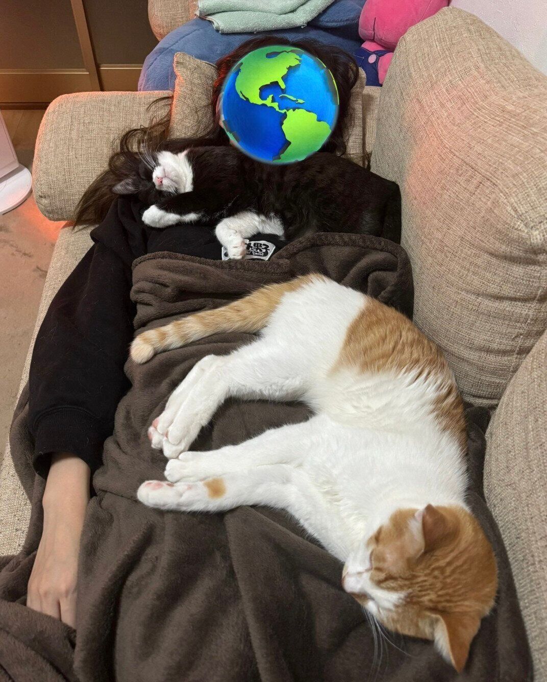 飼い主さんの上で眠るジジちゃん、びびくん