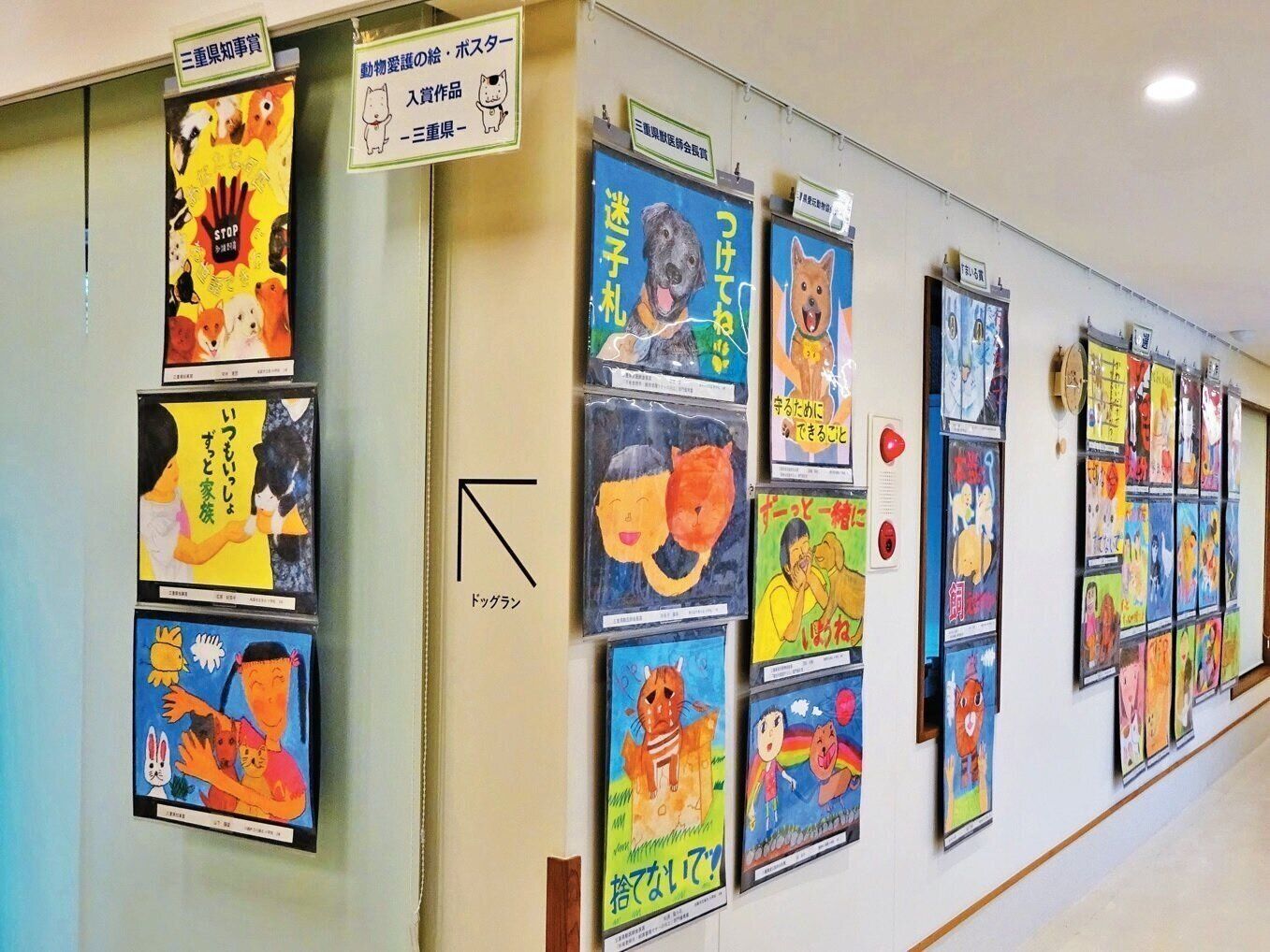 提供／三重県動物愛護推進センター