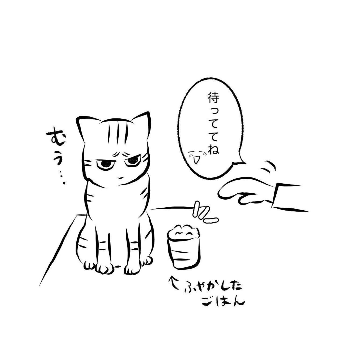 人間嫌いな猫様のお食事タイムに現れた敵 その瞬間の猫様の行動とは 連載 交通事故にあった猫を拾いました 31 ねこのきもちweb Magazine 人間嫌いな猫様のお食事タイムに現れた敵 その瞬間の猫様の行動とは 連載 交通事故にあった猫を拾いました 31 ねこのきもちweb Magazine