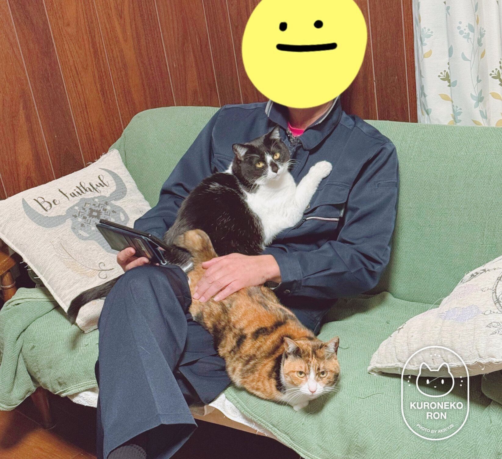 飼い主さんの父に甘えるまめさん、みたらしちゃん