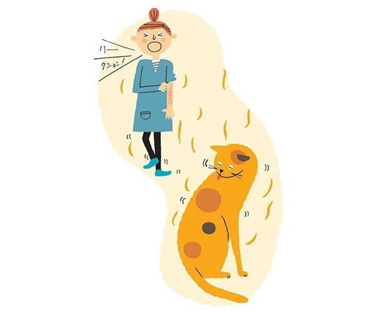 突然治ることもあるの 猫アレルギーにまつわる素朴な7つの疑問 ねこのきもちweb Magazine 突然治ることもあるの 猫アレルギーにまつわる素朴な7つの疑問 ねこのきもちweb Magazine