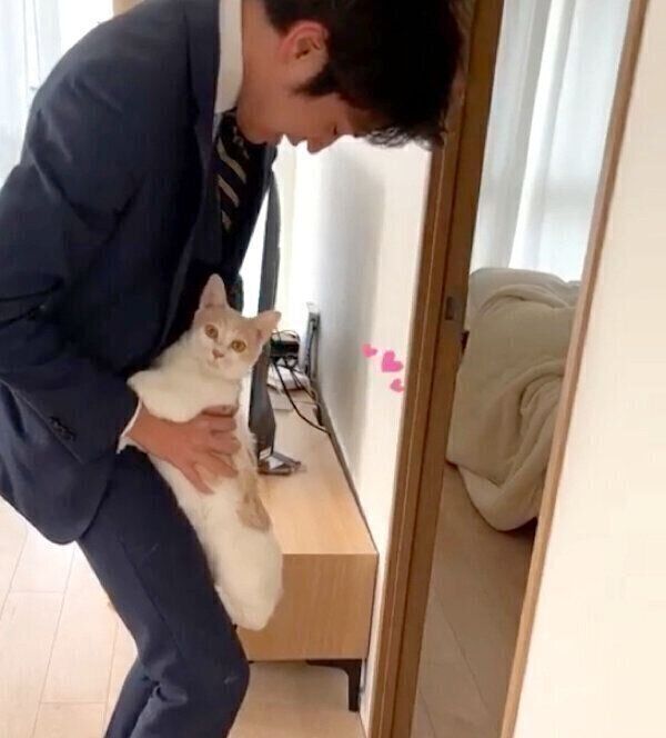 しがみつくミソくん