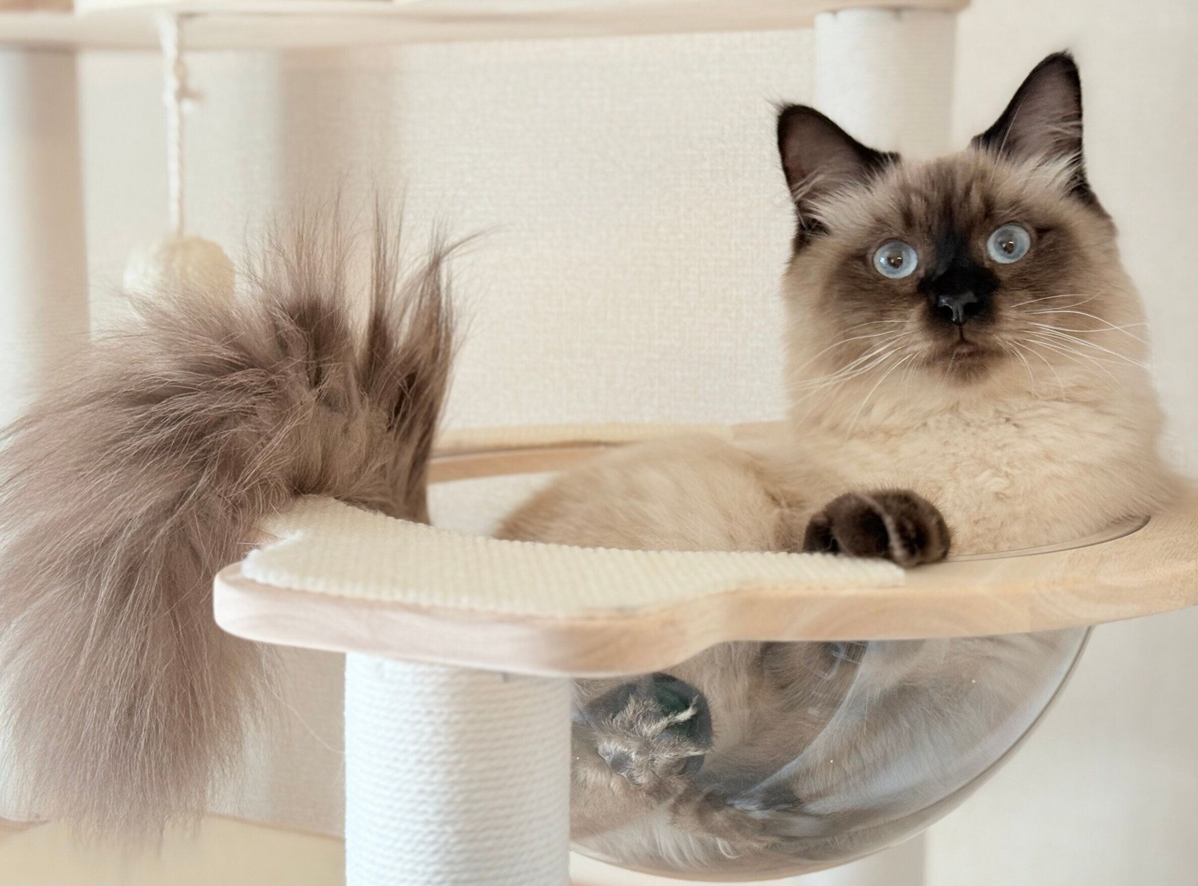 生後7カ月のるねくん