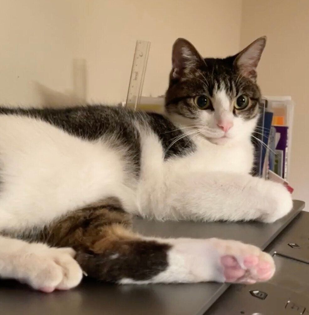 静止画のように動かないアルくん