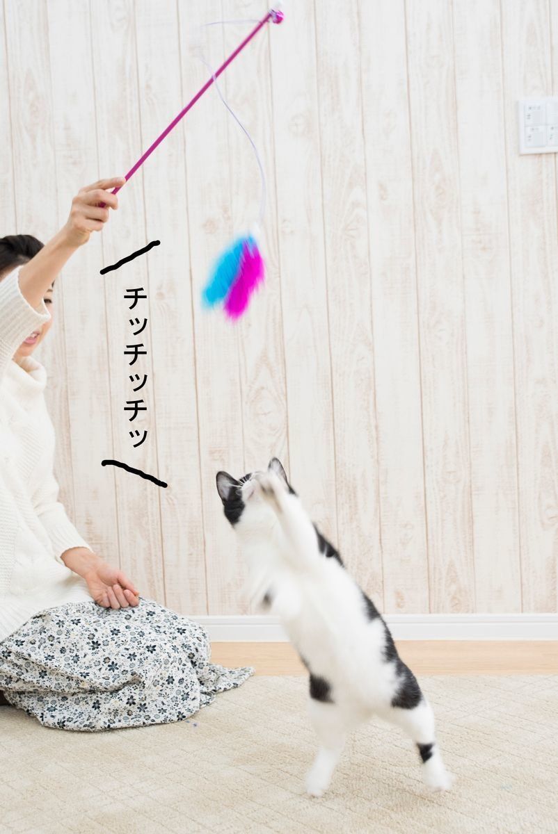 撮影／中川文作