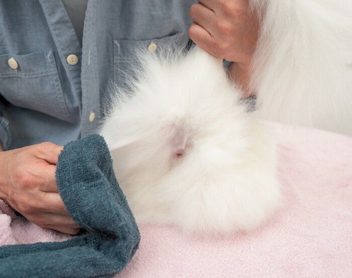 汚れはつまんでスライド