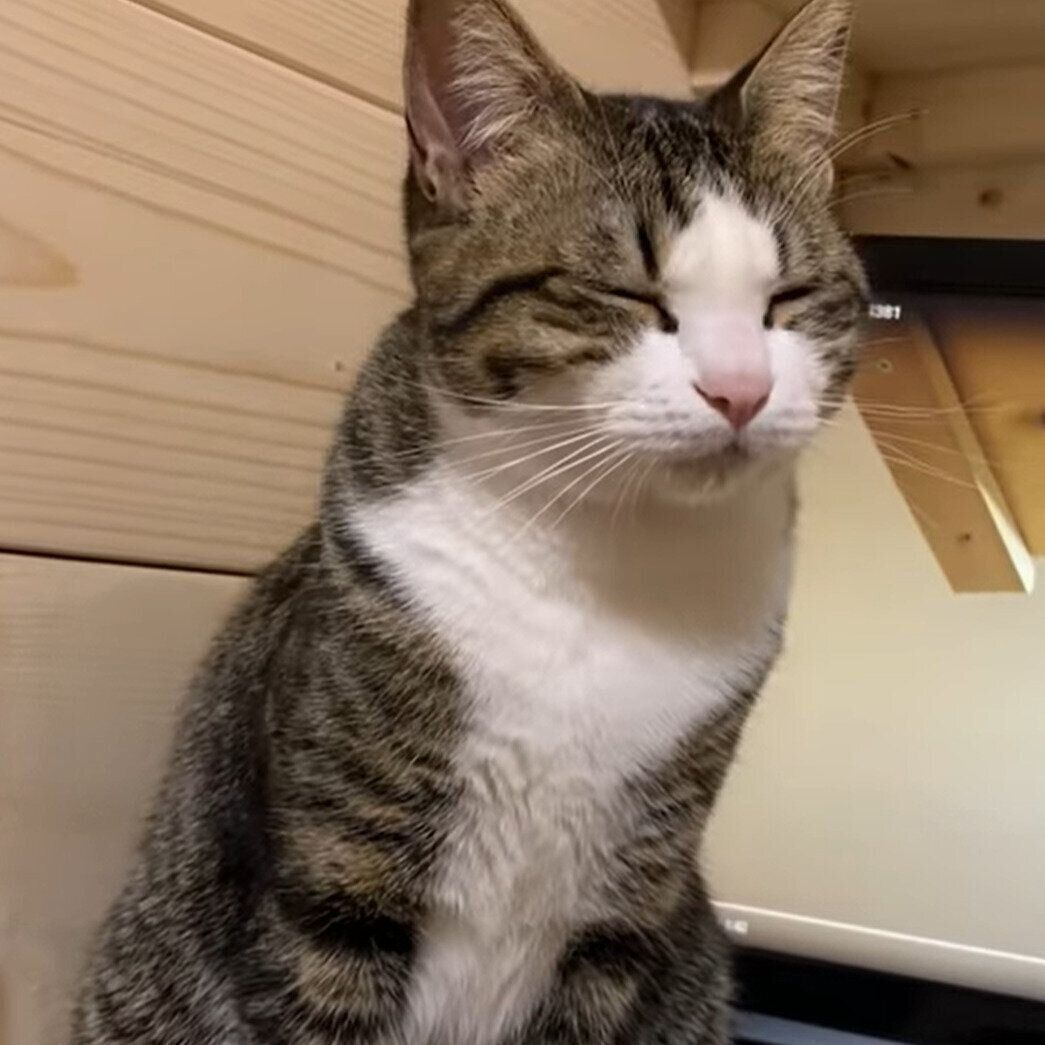 眠すぎるおでこちゃん