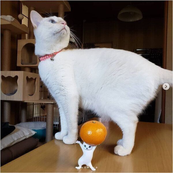 「ネコのペンおき」