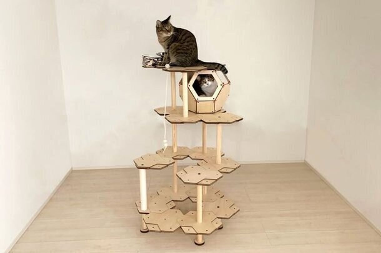 キャットタワーに登りたくなる にゃんこカプセル って一体何 ねこのきもちweb Magazine キャットタワーに登りたくなる にゃんこカプセル って一体何 ねこのきもちweb Magazine