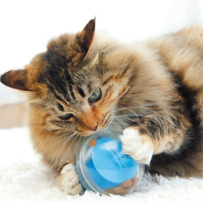 撮影／尾﨑たまき