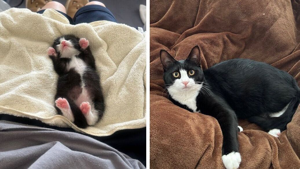 めいちゃんの成長ビフォーアフター写真。