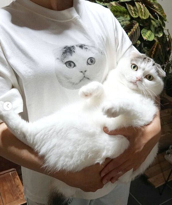 ライくん×「niko and ...」のコラボ商品