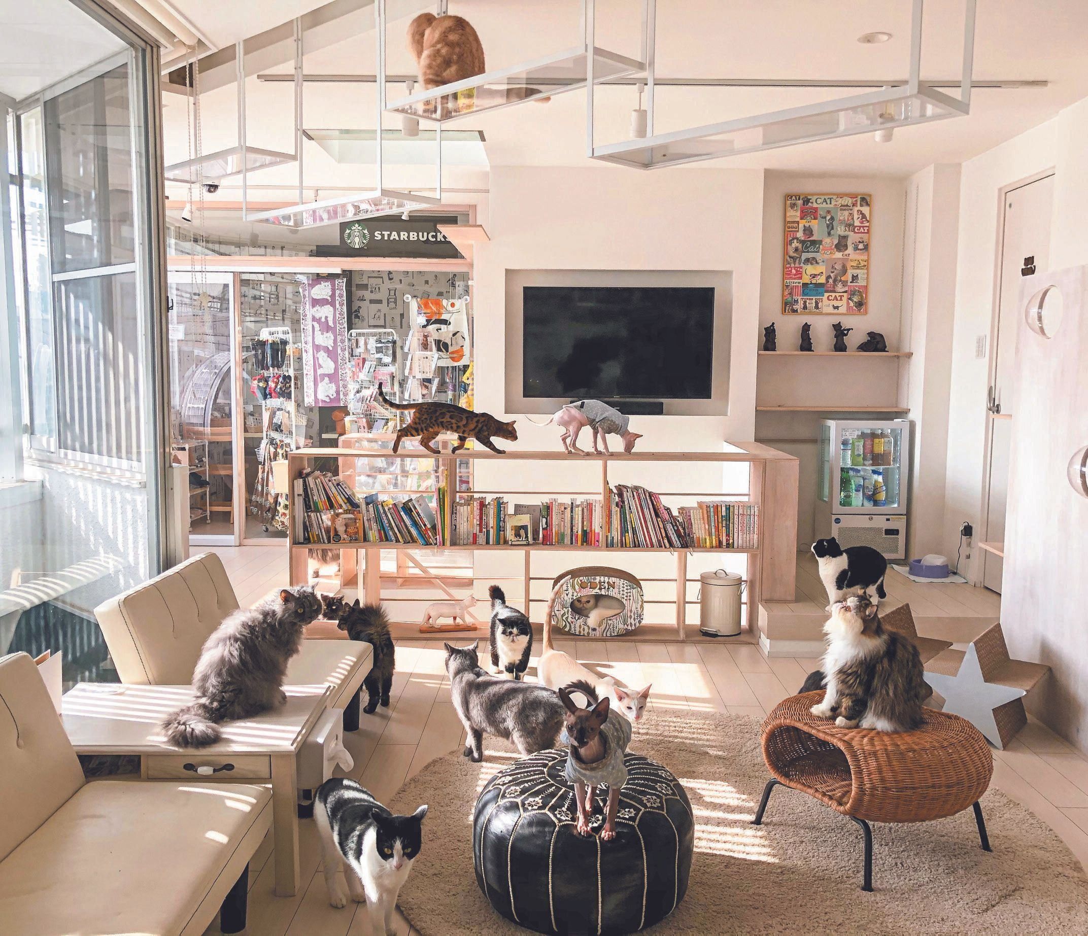 写真提供／猫の屋　おでん