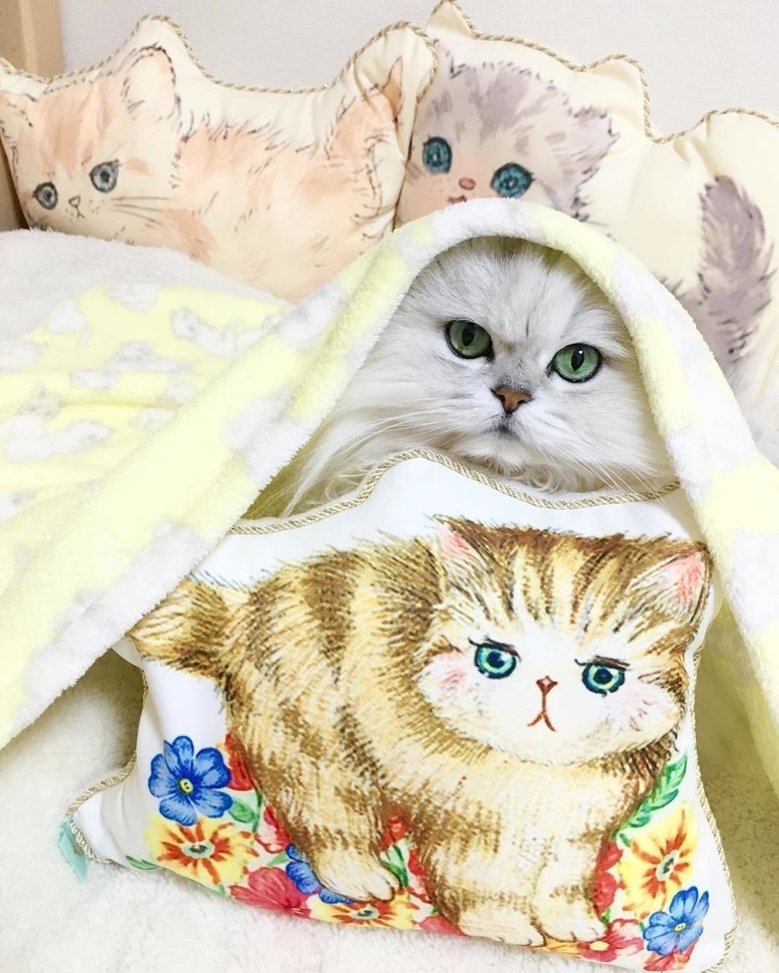 キュートな白猫 マリーちゃんがモデル フランシュリッペの猫グッズをご紹介 ねこのきもちweb Magazine キュートな白猫 マリーちゃんがモデル フランシュリッペの猫グッズをご紹介 ねこのきもちweb Magazine