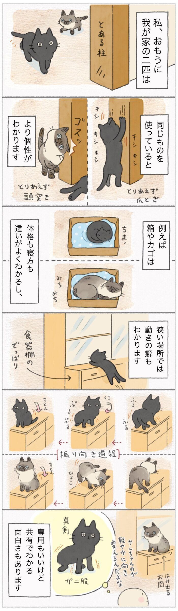 「ねこ連れ草」208話め