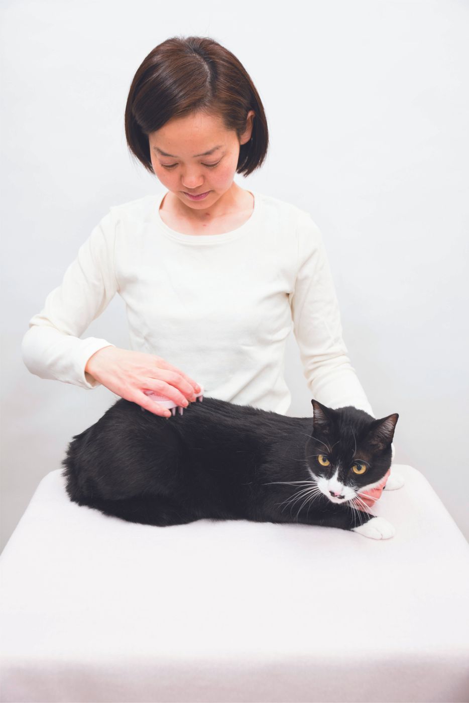 獣医師監修 猫の抜け毛対策 原因や対処法 掃除のコツもご紹介 ねこのきもちweb Magazine 獣医師監修 猫の抜け毛対策 原因や対処法 掃除のコツもご紹介 ねこのきもちweb Magazine