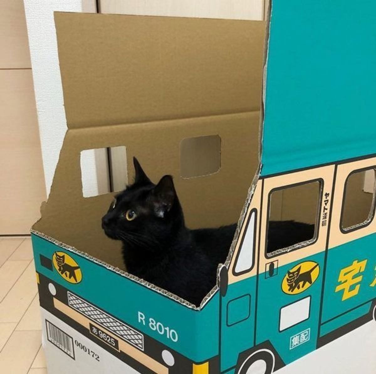 黒猫に宅急便トラックを見せてみたら まさかの展開にほっこり ねこのきもちweb Magazine 黒猫に宅急便トラックを見せてみたら まさかの展開にほっこり ねこのきもちweb Magazine