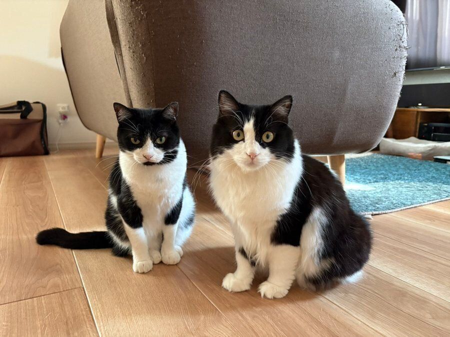 オリビアちゃんとナミちゃん