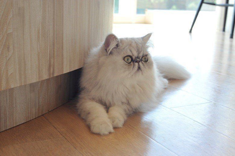 撮影／尾﨑たまき