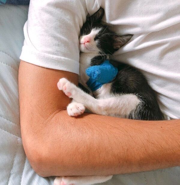 腕の中で眠るラッキーくん