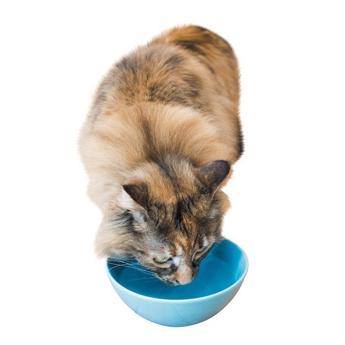 撮影／中川文作