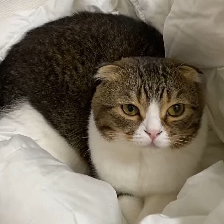 布団をキープするぽこ太郎ちゃん