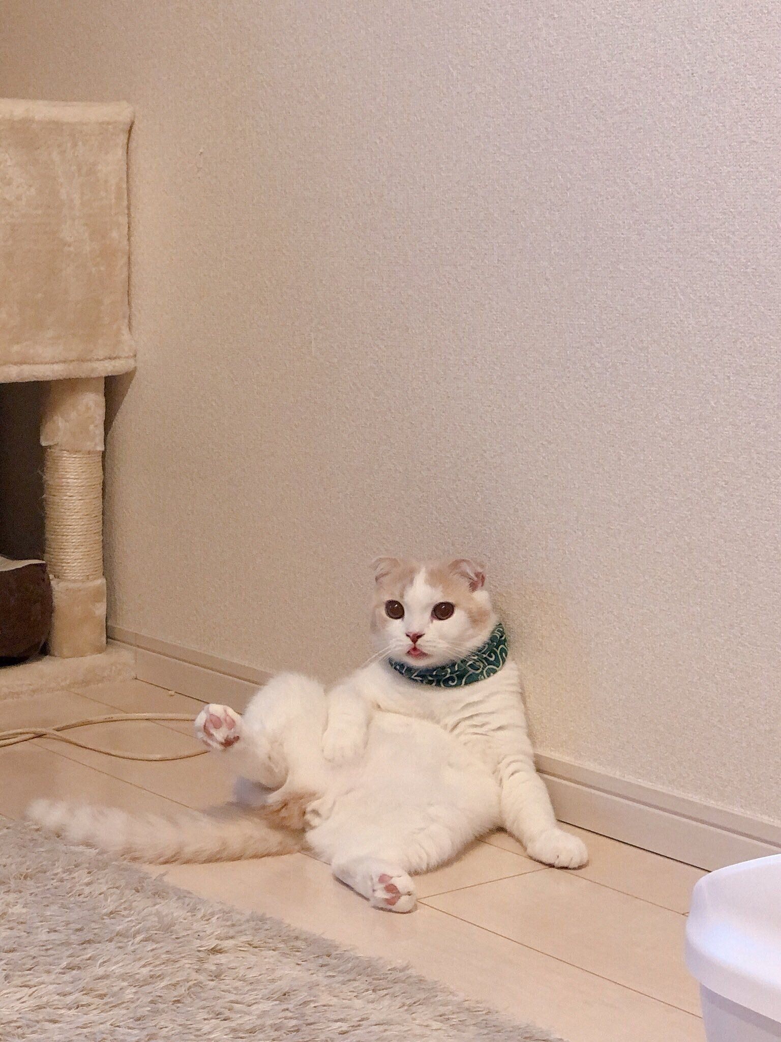 舌出しっぱなし