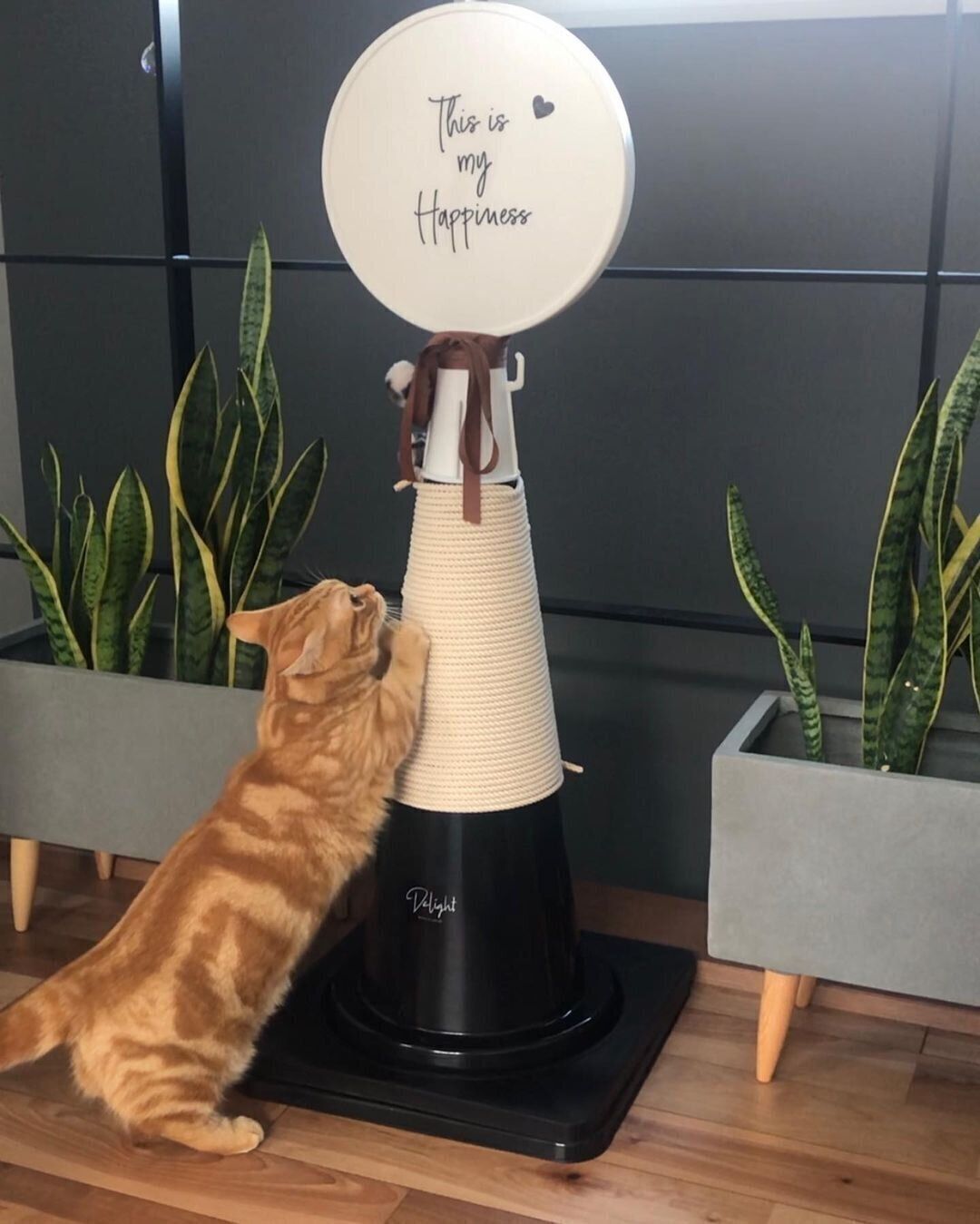 おしゃれな爪とぎ