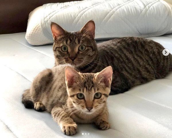 寄り添うサボちゃんとコルちゃん