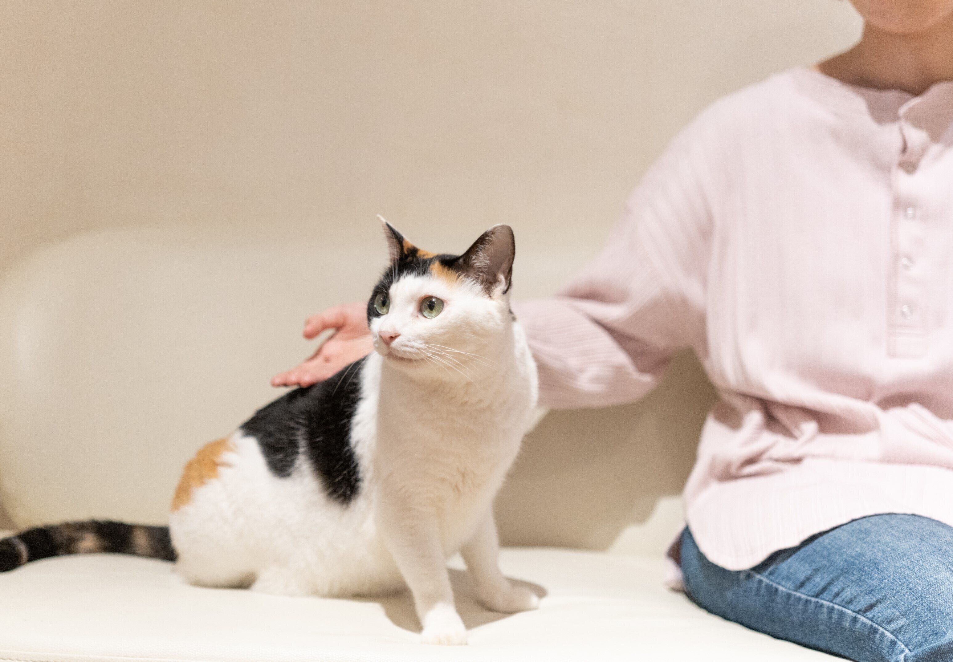 撮影／石原さくら