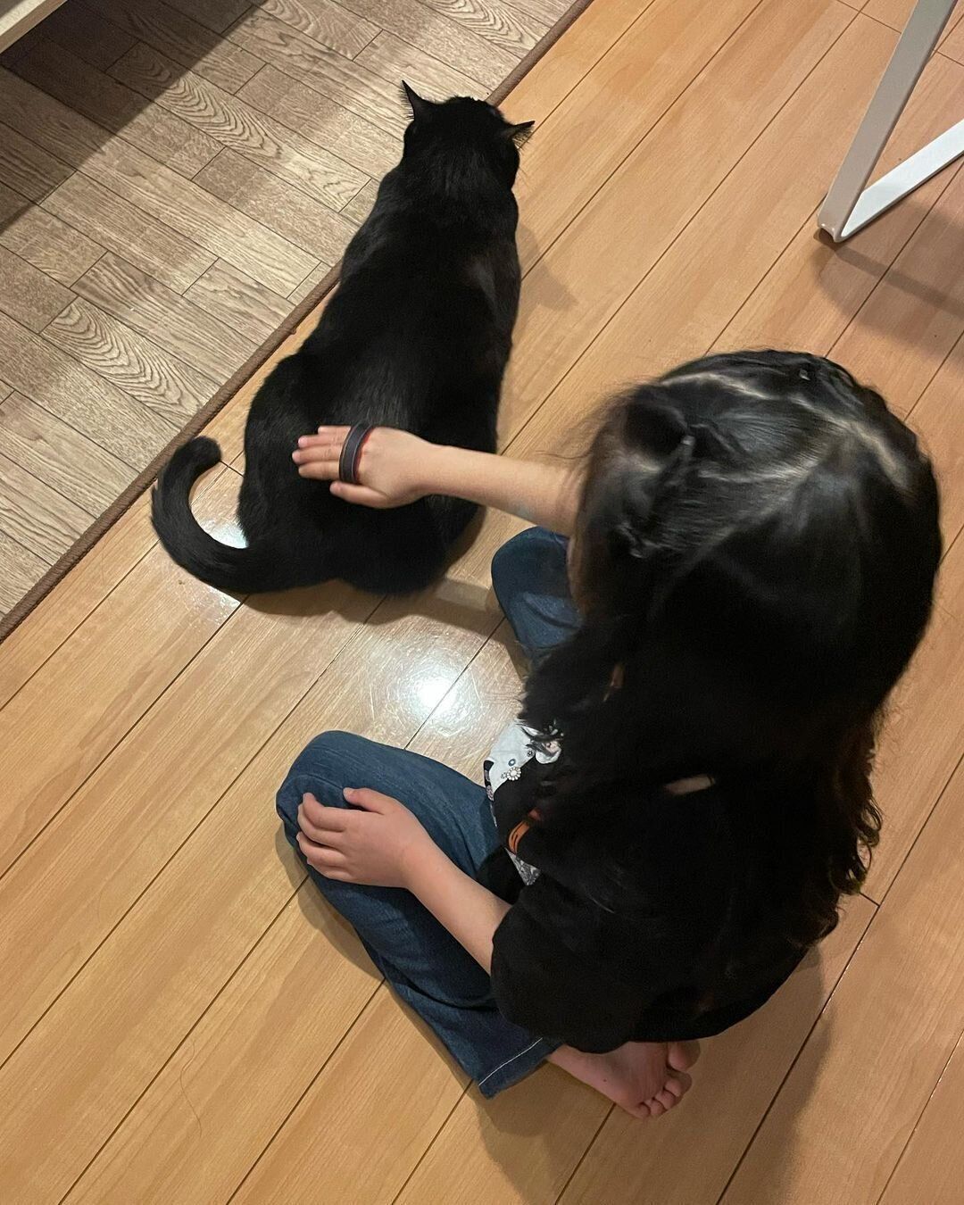 ブラッシングしてもらっているてんちゃん