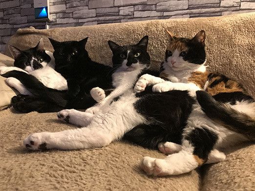 はじめまして！新連載「リュックと愉快な仲間たち。あ、あと響介」です