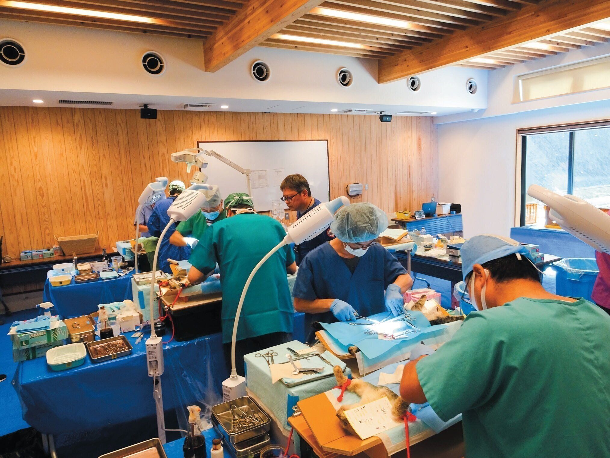 提供／三重県動物愛護推進センター