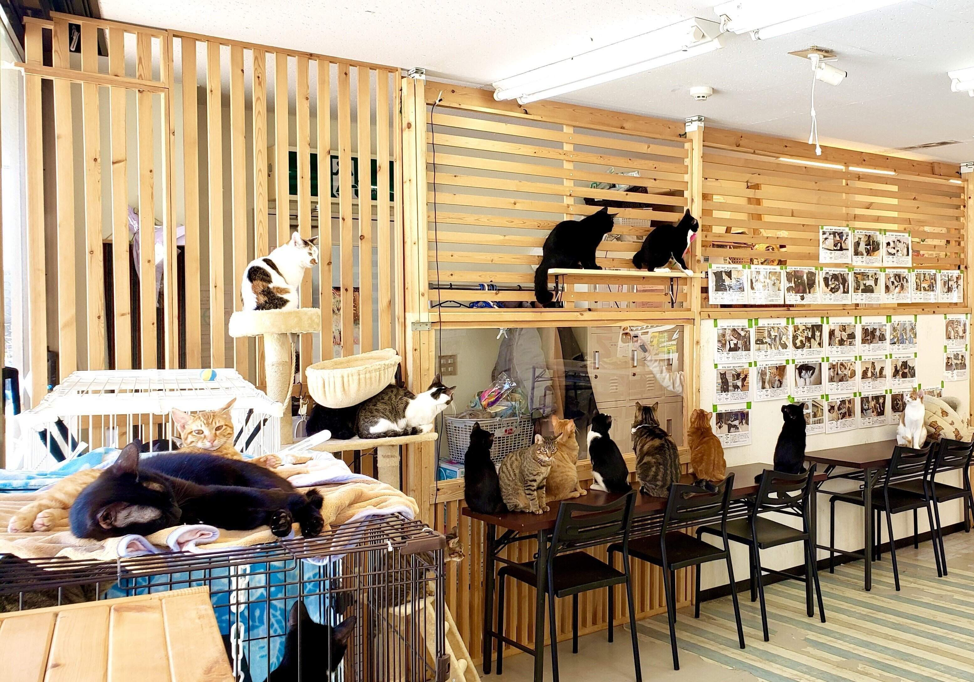 イスもテーブルもボクたちの！！