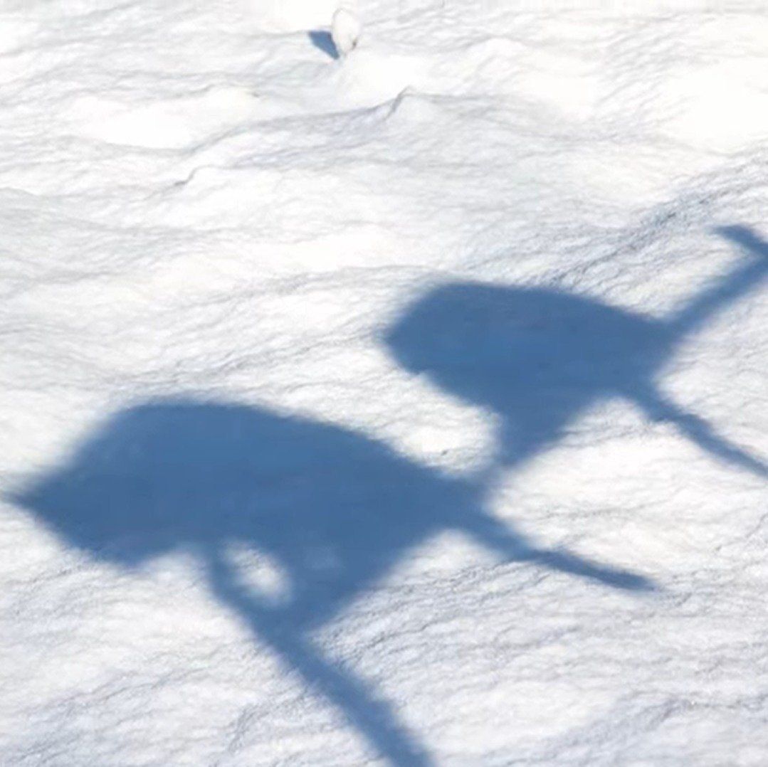 誰のシルエット？