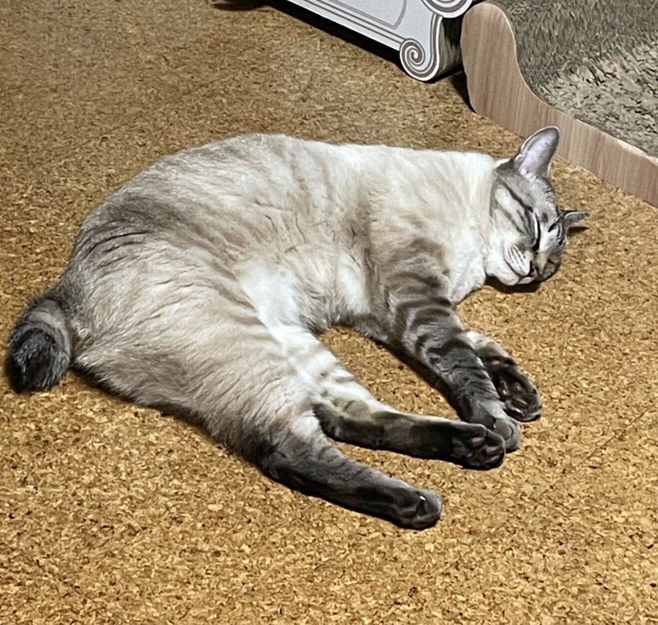 2才の頃のそらくん