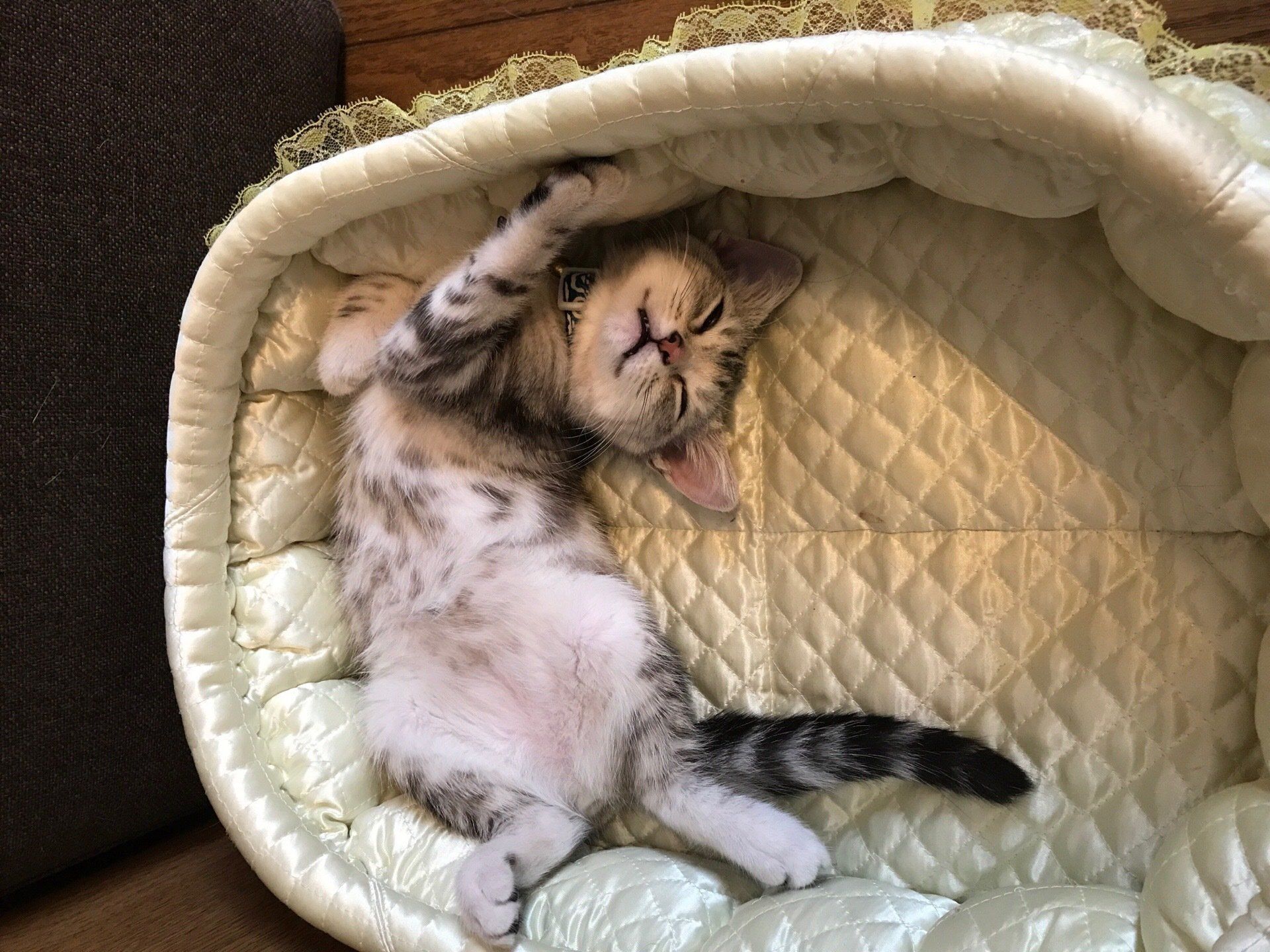 ©片倉真二／講談社